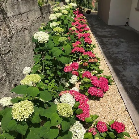 Nyaraló Casa Negli Ulivi Tremosine